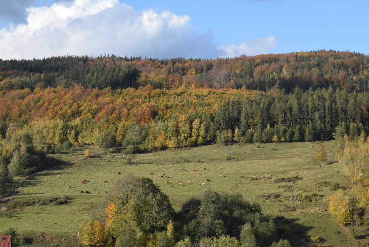 Domek Chmielnik Villa Pieszyce Buitenkant foto